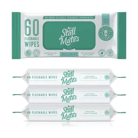 Stall Mates Wipes: Flushable Wipes | 60-Wipe Home Pack | Hypoallergenic | Unscented with Vitamin-E & Aloe | (4 Pack - 240 Wipes Total)