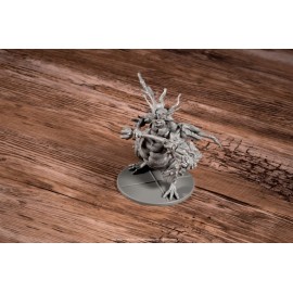 Dark Souls The Role Playing Game: Protector of The Asylum Miniatures & Stat Cards