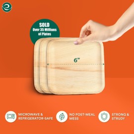 ECO SOUL 50 Count Square Palm Leaf Plates of 6 Inch - Disposable, Eco-Friendly, Biodegradable Bamboo Plates - Perfect for Parties, Catering, Weddings & Large Events ECO SOUL 50 Count Square Palm Leaf Plates of 6 Inch - Disposable, Eco-Friendly, Biodegradable Bamboo Plates - Perfect for Parties, Catering, Weddings & Large Events