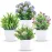 Der Rose 4 Pack Small Fake Plants Mini Artificial Faux Plants with Flowers for Home Room Farmhouse Bathroom Decor Indoor