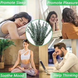 10 Pcs Dried Eucalyptus Stems 17 Real Eucalyptus for Shower Hanging 100% Made from Fresh Leaves, Wedding, Home, Farmhouse, DIY Spring Decor 10 Pcs Dried Eucalyptus Stems 17 Real Eucalyptus for Shower Hanging 100% Made from Fresh Leaves, Wedding, Home, Farmhouse, DIY Spring Decor