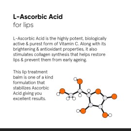 Minimalist Lip Balm for Moisturizing, Softening & Brightening Lips | 8% L-Ascorbic Acid with Vitamin E, Radianskin & Glycerine | For Women & Men | 0.42 Oz / 12 gm Minimalist Lip Balm for Moisturizing, Softening & Brightening Lips | 8% L-Ascorbic Acid with Vitamin E, Radianskin & Glycerine | For Women & Men | 0.42 Oz / 12 gm