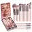 BS-MALL Makeup Brushes Foundation Powder Concealers Eye Shadows Makeup Set with LED light Mirror 14 Pcs Mini Makeup Brushes (APINK)