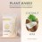 KOTAMU Hard Wax Beads for Hair Removal - 1lb Sensitive Skin Thick Hair Formula for Full Body, Face, Chest, Back, Leg, Bikini Brazilian Waxing - Wax Refill for Women and Men