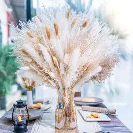 floradream 95 PCS Natural Pampas Grass Decor Bouquet | Boho Dried Floral Arrangement Centerpiece Table Decor Wedding Decor Rustic Decor, Natural, white, beige (Fdm-b-01)