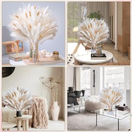 floradream 95 PCS Natural Pampas Grass Decor Bouquet | Boho Dried Floral Arrangement Centerpiece Table Decor Wedding Decor Rustic Decor, Natural, white, beige (Fdm-b-01) floradream 95 PCS Natural Pampas Grass Decor Bouquet | Boho Dried Floral Arrangement Centerpiece Table Decor Wedding Decor Rustic Decor, Natural, white, beige (Fdm-b-01)