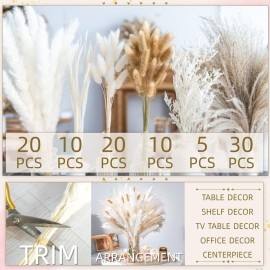floradream 95 PCS Natural Pampas Grass Decor Bouquet | Boho Dried Floral Arrangement Centerpiece Table Decor Wedding Decor Rustic Decor, Natural, white, beige (Fdm-b-01) floradream 95 PCS Natural Pampas Grass Decor Bouquet | Boho Dried Floral Arrangement Centerpiece Table Decor Wedding Decor Rustic Decor, Natural, white, beige (Fdm-b-01)