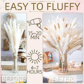 floradream 95 PCS Natural Pampas Grass Decor Bouquet | Boho Dried Floral Arrangement Centerpiece Table Decor Wedding Decor Rustic Decor, Natural, white, beige (Fdm-b-01) floradream 95 PCS Natural Pampas Grass Decor Bouquet | Boho Dried Floral Arrangement Centerpiece Table Decor Wedding Decor Rustic Decor, Natural, white, beige (Fdm-b-01)