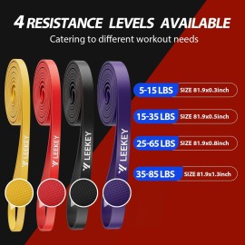 LEEKEY Resistance Bands,Rubber Exercise Bands - Workout Bands Set, 5-85LBS Resistance Bands for Working Out,for Men and Women Fitness Training, Physical Therapy,Home Workouts LEEKEY Resistance Bands,Rubber Exercise Bands - Workout Bands Set, 5-85LBS Resistance Bands for Working Out,for Men and Women Fitness Training, Physical Therapy,Home Workouts