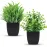 Der Rose 2 Pack Fake Plants Small Artificial Potted Plants Faux Plants Black Bathroom Accessories for Home Office Desk Bathroom Decor Indoor