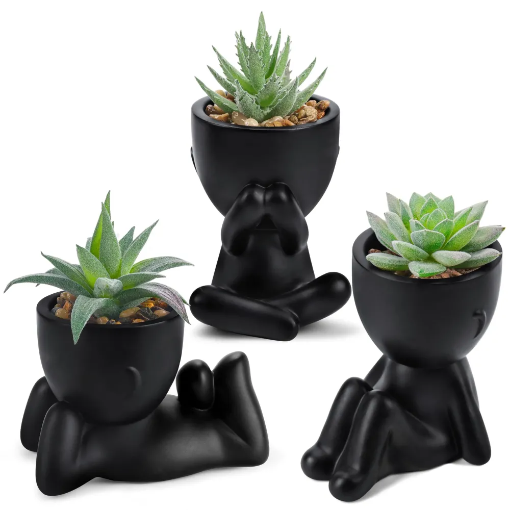 Der Rose 3pcs Fake Succulents Plants Artificial for Black Bathroom Bedroom Home Room Decor Aesthetic Indoor Der Rose 3pcs Fake Succulents Plants Artificial for Black Bathroom Bedroom Home Room Decor Aesthetic Indoor