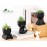 Der Rose 3pcs Fake Succulents Plants Artificial for Black Bathroom Bedroom Home Room Decor Aesthetic Indoor