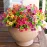 HyeFlora Artificial Flowers for Outdoor Indoor Garden Home Decoration, Faux Flower Daisy with Eucalyptus Leaves Fake Plants Greenery Boxwood Porch Patio, 12 Bundles (Mix Pink Red Purple Yellow)