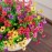 HyeFlora Artificial Flowers for Outdoor Indoor Garden Home Decoration, Faux Flower Daisy with Eucalyptus Leaves Fake Plants Greenery Boxwood Porch Patio, 12 Bundles (Mix Pink Red Purple Yellow)