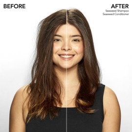 Bumble and bumble. Seaweed Hydrating Shampoo | For Fine-to-Medium Hair or Daily Washer | Sulfate-Free + Color Safe | Standard Size, 8.5 Fl Oz