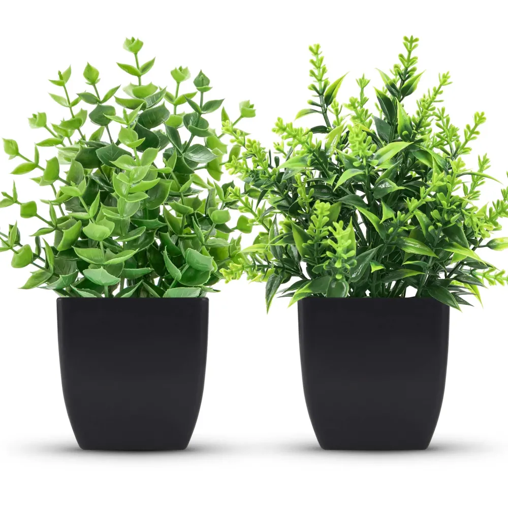 ZJIA 2 Pack Small Fake Plants Black Bathroom Accessories for Home Bedroom Bathroom Kitchen Decor ZJIA 2 Pack Small Fake Plants Black Bathroom Accessories for Home Bedroom Bathroom Kitchen Decor