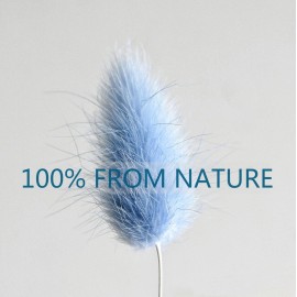 120 PCS Blue Dried Pampas Grass Decor, 17-inch Pompas Floral, Dry Flowers for Decoration, Pampas Grass in Bulk Tall, Blue Bunny Tails Dried Flowers for Boho Wedding Decor 120 PCS Blue Dried Pampas Grass Decor, 17-inch Pompas Floral, Dry Flowers for Decoration, Pampas Grass in Bulk Tall, Blue Bunny Tails Dried Flowers for Boho Wedding Decor