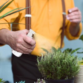 GIVITASOT 3pack Small Spray Bottle, 1oz Mini Spray Bottles, Empty Travel Spray Bottle, Fine Mist Plastic Spray Bottles (Clear+Green+Pink)