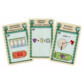 Rio Grande Games: Faiyum Privileges - Expansion, City Building Board Game, Ages 14+, 1-5 Players, 90-120 Minute