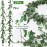 mizii 2 Strands Artificial Vines Ivy Garland 79 Fake Vine with Silk Green Leaves Faux Hanging Plants Greenery Decoration for Bedroom Home Wall Party Wedding Arch Apartment Room Decor (Ivy)