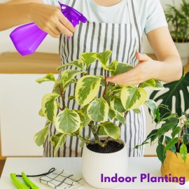 DilaBee Plastic Spray Bottles - 8oz (2 Pack) Water Spray Bottle for Hair, Gardening, Grilling & Cleaning Solution - Empty Spray Bottles for Pet Correction - Spray Bottle BPA Free (Blue-Purple)