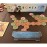 Bonsai by DV Games - Cultivate Your Perfect Bonsai Tile Placement Strategy Board Game, 40 Minutes of Playtme for Solo or Multiplayer, Up to 4 Players and Ages 10+