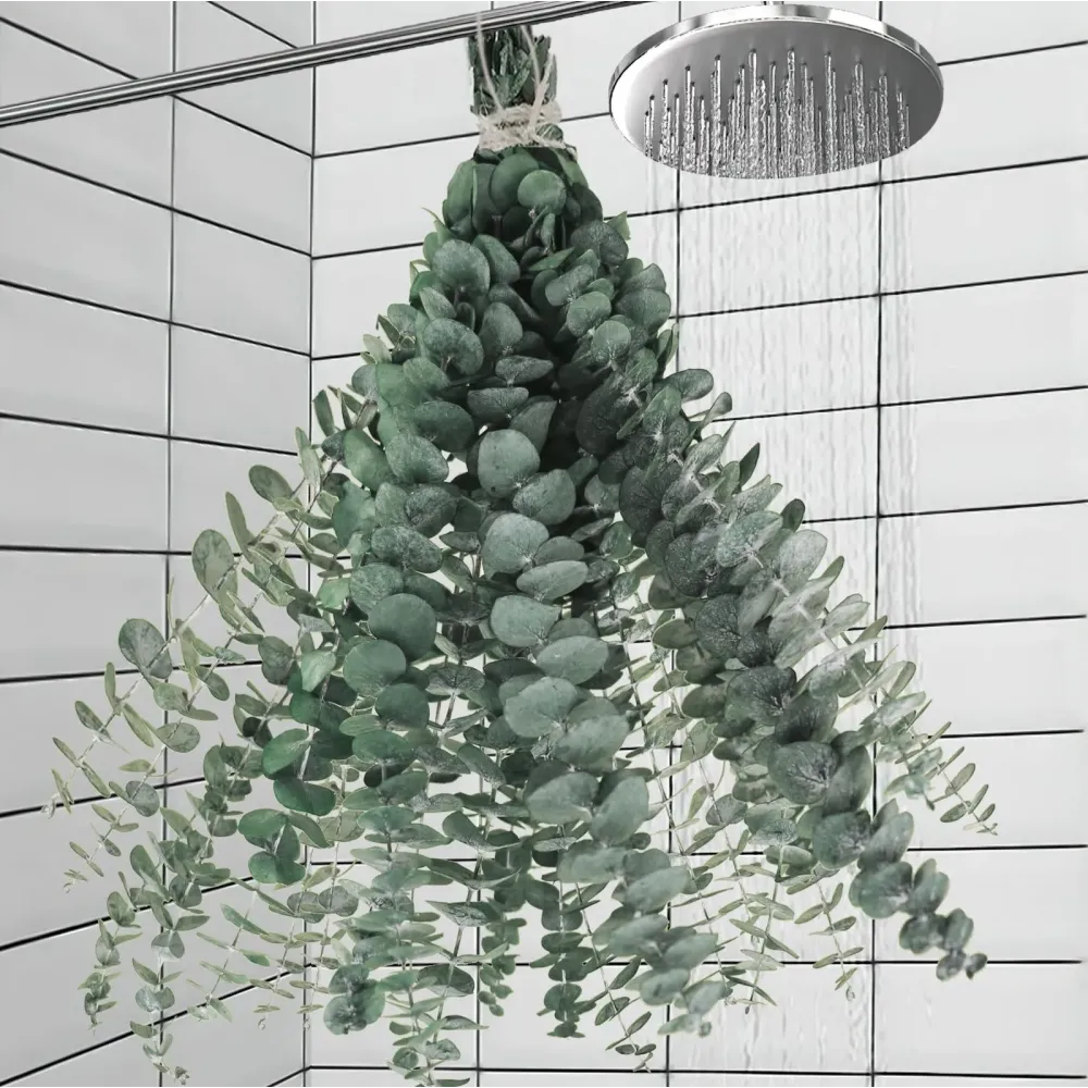 11 PCS Real Dried Eucalyptus Stem for Shower & Bathroom Decor - 17\'\' Large Natural Fresh Eucalyptus Leaves Hanging Plants, Shower Stuff Green Home Vase Decor, DIY 11 PCS Real Dried Eucalyptus Stem for Shower & Bathroom Decor - 17\'\' Large Natural Fresh Eucalyptus Leaves Hanging Plants, Shower Stuff Green Home Vase Decor, DIY