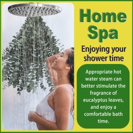 11 PCS Real Dried Eucalyptus Stem for Shower & Bathroom Decor - 17\'\' Large Natural Fresh Eucalyptus Leaves Hanging Plants, Shower Stuff Green Home Vase Decor, DIY 11 PCS Real Dried Eucalyptus Stem for Shower & Bathroom Decor - 17\'\' Large Natural Fresh Eucalyptus Leaves Hanging Plants, Shower Stuff Green Home Vase Decor, DIY