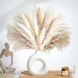 70PCS Natural Dried Pampas Grass Boho Home Decor Bouquet Phragmites Dried Flowers Bouquet for Wedding Floral Arrangements Home Decorations (70PCS) 70PCS Natural Dried Pampas Grass Boho Home Decor Bouquet Phragmites Dried Flowers Bouquet for Wedding Floral Arrangements Home Decorations (70PCS)