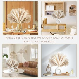 70PCS Natural Dried Pampas Grass Boho Home Decor Bouquet Phragmites Dried Flowers Bouquet for Wedding Floral Arrangements Home Decorations (70PCS) 70PCS Natural Dried Pampas Grass Boho Home Decor Bouquet Phragmites Dried Flowers Bouquet for Wedding Floral Arrangements Home Decorations (70PCS)