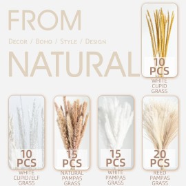 70PCS Natural Dried Pampas Grass Boho Home Decor Bouquet Phragmites Dried Flowers Bouquet for Wedding Floral Arrangements Home Decorations (70PCS) 70PCS Natural Dried Pampas Grass Boho Home Decor Bouquet Phragmites Dried Flowers Bouquet for Wedding Floral Arrangements Home Decorations (70PCS)