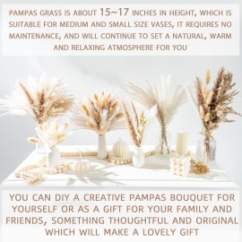 70PCS Natural Dried Pampas Grass Boho Home Decor Bouquet Phragmites Dried Flowers Bouquet for Wedding Floral Arrangements Home Decorations (70PCS) 70PCS Natural Dried Pampas Grass Boho Home Decor Bouquet Phragmites Dried Flowers Bouquet for Wedding Floral Arrangements Home Decorations (70PCS)