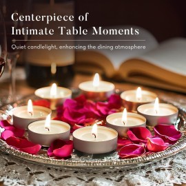 Ashlux Unscented Palm Tea Lights Candles 100 Pack Bulk, 4.5 Hours Long Burning White Tea Lights,Non-Paraffin, Smokeless, Mini Tealight Votive Candles for Wedding, Centerpiece, Party, Christmas Ashlux Unscented Palm Tea Lights Candles 100 Pack Bulk, 4.5 Hours Long Burning White Tea Lights,Non-Paraffin, Smokeless, Mini Tealight Votive Candles for Wedding, Centerpiece, Party, Christmas