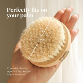 Bare Botanics Dry Body Brush for Lymphatic Drainage - Improve Circulation w/Gentle Exfoliation for Soft Skin - Ergonomically Designed w/Elastic Strap - Soft but Firm Natural Boar Bristles Bare Botanics Dry Body Brush for Lymphatic Drainage - Improve Circulation w/Gentle Exfoliation for Soft Skin - Ergonomically Designed w/Elastic Strap - Soft but Firm Natural Boar Bristles