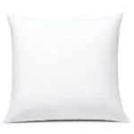 JIEITIVE Throw Pillow Inserts Hypoallergenic Premium Pillow Stuffer Square Form for Decorative Pillow Covers Cushion Set of 1-18 x 18 Inches
