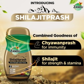Zandu Shilajitprash, Combination of Shilajit and Selected Herbs of Chyawanpash, a Powerhouse of 47 Potent Ayurvedic Herbs, 3 Action Formula to Boost Strength, Stamina & Immunity, 900 Gm