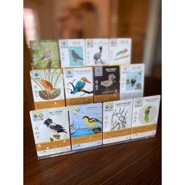 Stonemaier Games: Wingspan Fan Art Pack | Submitted Illustrations of Fan Favorite Birds in Wingspan | Needs Wingspan Base Game to Play