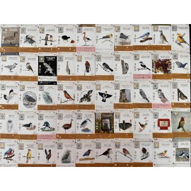 Stonemaier Games: Wingspan Fan Art Pack | Submitted Illustrations of Fan Favorite Birds in Wingspan | Needs Wingspan Base Game to Play