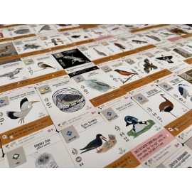 Stonemaier Games: Wingspan Fan Art Pack | Submitted Illustrations of Fan Favorite Birds in Wingspan | Needs Wingspan Base Game to Play
