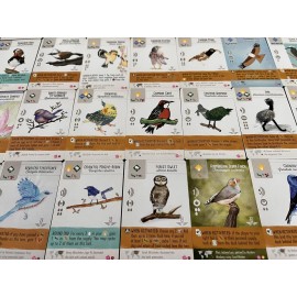 Stonemaier Games: Wingspan Fan Art Pack | Submitted Illustrations of Fan Favorite Birds in Wingspan | Needs Wingspan Base Game to Play