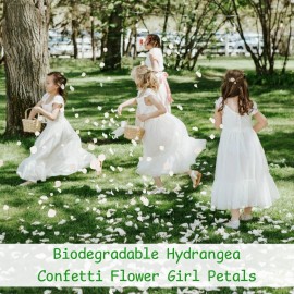 Gifugi 3000+Pcs Real Ivory White Dried Hydrangea Flower Petals - 100% Natural Creamy White Flower Petals for Wedding Confetti, Flower Girl Basket, Romantic Night Decor, DIY Handcrafts (2.12oz) Gifugi 3000+Pcs Real Ivory White Dried Hydrangea Flower Petals - 100% Natural Creamy White Flower Petals for Wedding Confetti, Flower Girl Basket, Romantic Night Decor, DIY Handcrafts (2.12oz)