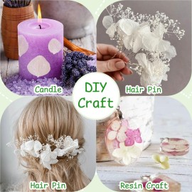 Gifugi 3000+Pcs Real Ivory White Dried Hydrangea Flower Petals - 100% Natural Creamy White Flower Petals for Wedding Confetti, Flower Girl Basket, Romantic Night Decor, DIY Handcrafts (2.12oz) Gifugi 3000+Pcs Real Ivory White Dried Hydrangea Flower Petals - 100% Natural Creamy White Flower Petals for Wedding Confetti, Flower Girl Basket, Romantic Night Decor, DIY Handcrafts (2.12oz)