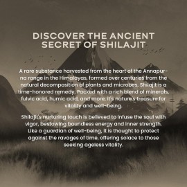 WELLBEING NUTRITION Pure & Natural Himalayan Shilajit Original Resin 20g for Strength, Stamina & Performance | Shilajit Resin for Men & Women with 75% Fulvic Acid & 85 Trace Minerals | Lab Tested