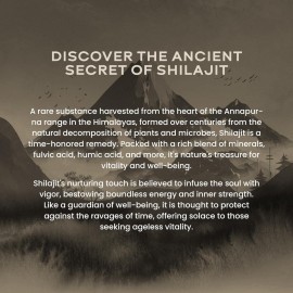 WELLBEING NUTRITION Pure Himalayan Shilajit Gold Resin for Strength, Stamina, Performance, Stress Relief and Vitality | Ashwagandha, Safed Museli & Swarna Bhasma (24K Gold Leaf) | Lab Tested - 20g