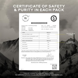 WELLBEING NUTRITION Pure Himalayan Shilajit Gold Resin for Strength, Stamina, Performance, Stress Relief and Vitality | Ashwagandha, Safed Museli & Swarna Bhasma (24K Gold Leaf) | Lab Tested - 20g