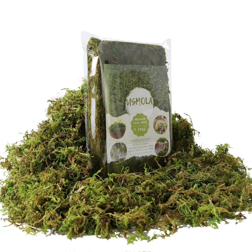USMOLA Fake Green Moss for Potted Plants, 4OZ Artificial Moss for DIY Crafts, Faux Moss for Table Centerpieces Fairy Garden Decor (Fresh Green 140gr) USMOLA Fake Green Moss for Potted Plants, 4OZ Artificial Moss for DIY Crafts, Faux Moss for Table Centerpieces Fairy Garden Decor (Fresh Green 140gr)