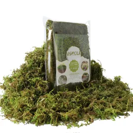 USMOLA Fake Green Moss for Potted Plants, 4OZ Artificial Moss for DIY Crafts, Faux Moss for Table Centerpieces Fairy Garden Decor (Fresh Green 140gr) USMOLA Fake Green Moss for Potted Plants, 4OZ Artificial Moss for DIY Crafts, Faux Moss for Table Centerpieces Fairy Garden Decor (Fresh Green 140gr)