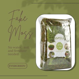 USMOLA Fake Green Moss for Potted Plants, 4OZ Artificial Moss for DIY Crafts, Faux Moss for Table Centerpieces Fairy Garden Decor (Fresh Green 140gr) USMOLA Fake Green Moss for Potted Plants, 4OZ Artificial Moss for DIY Crafts, Faux Moss for Table Centerpieces Fairy Garden Decor (Fresh Green 140gr)