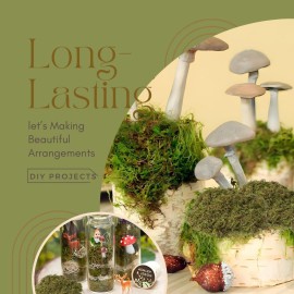 USMOLA Fake Green Moss for Potted Plants, 4OZ Artificial Moss for DIY Crafts, Faux Moss for Table Centerpieces Fairy Garden Decor (Fresh Green 140gr) USMOLA Fake Green Moss for Potted Plants, 4OZ Artificial Moss for DIY Crafts, Faux Moss for Table Centerpieces Fairy Garden Decor (Fresh Green 140gr)