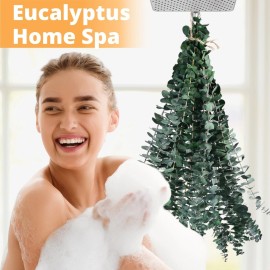 12 Pcs Dried Eucalyptus for Shower Hanging - 17\'\' Real Large Preserved Eucalyptus Stems Green Home Decor, 100% Made from Fresh Eucalyptus Leaves, Bathroom Shower Decor, Wedding, DIY 12 Pcs Dried Eucalyptus for Shower Hanging - 17\'\' Real Large Preserved Eucalyptus Stems Green Home Decor, 100% Made from Fresh Eucalyptus Leaves, Bathroom Shower Decor, Wedding, DIY